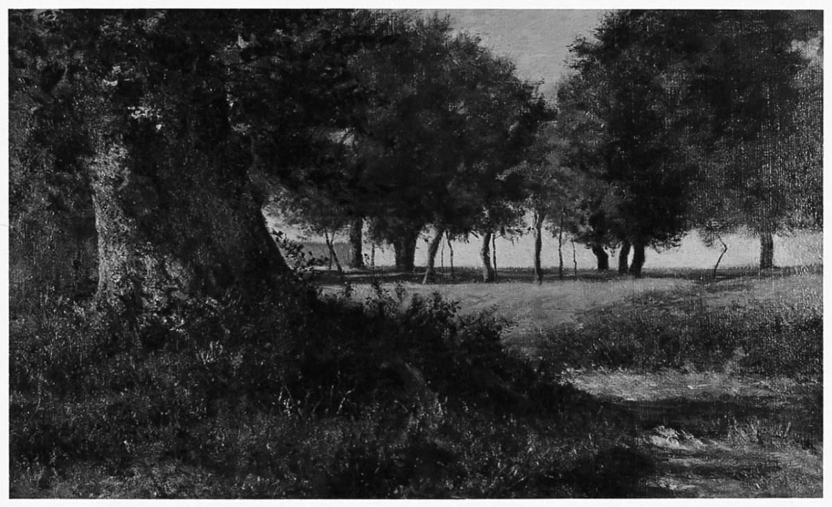 Paesaggio con alberi - Palazzo Pitti, Firenze